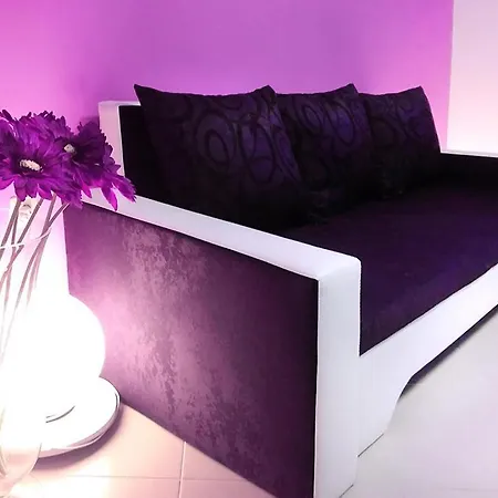 Duplex In Sintriacourtpremium شقة بالشيك