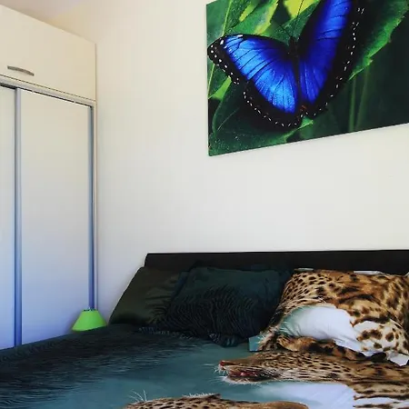 Duplex In Sintriacourtpremium شقة بالشيك